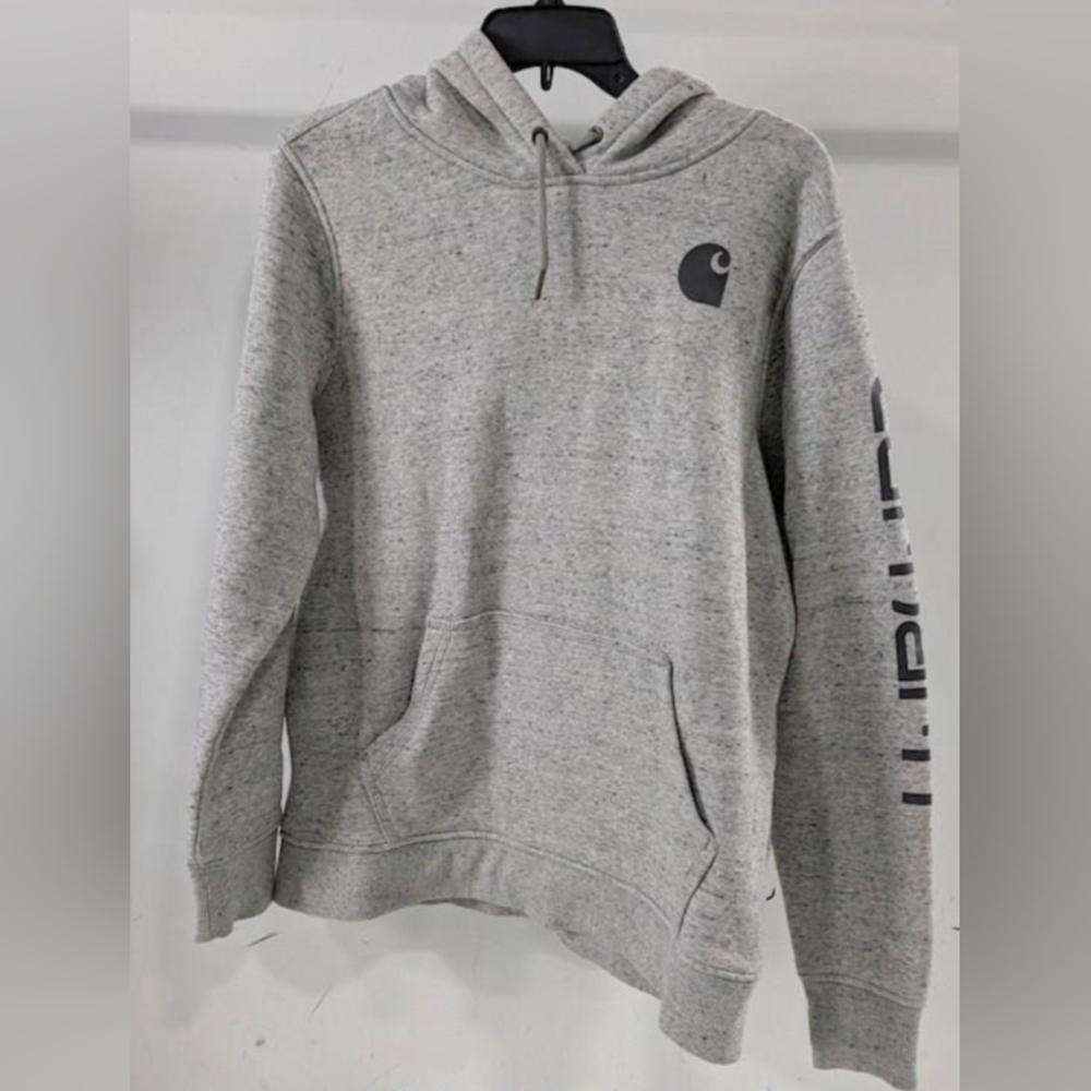 Carhartt Clarksburg Graphic Sleeve Hoodie Sweatshirt Size L MSRP $59.99 - Picture 2 of 9
